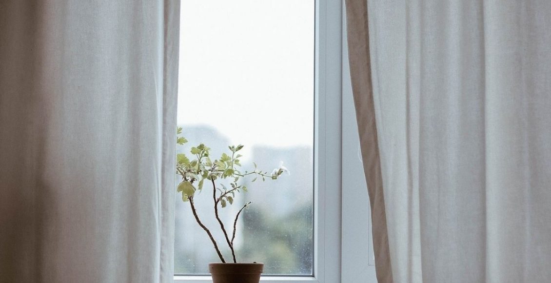 Plantas para sala: conheça 3 plantas para decorar esse ambiente - pixabay