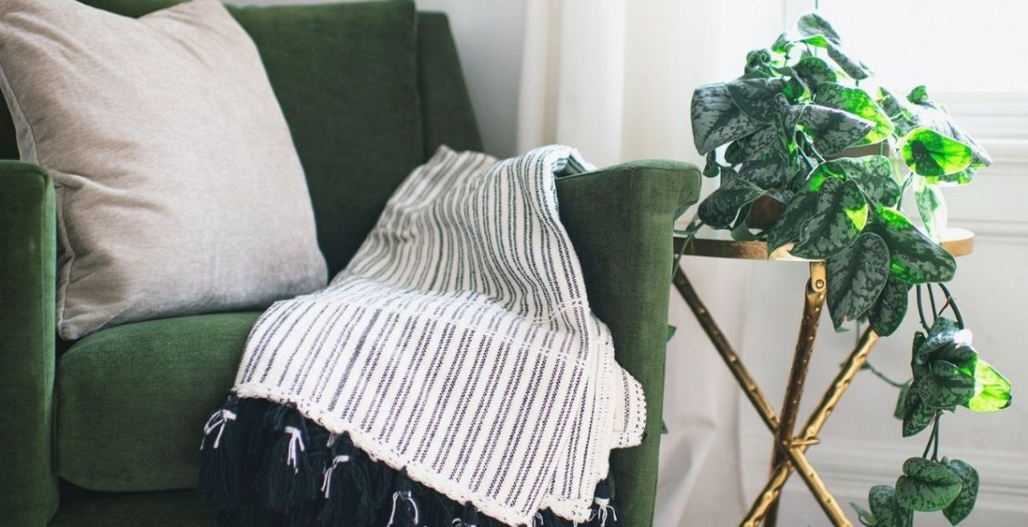 Plantas para quarto: veja 4 tipos que podem melhorar seu sono - pixabay