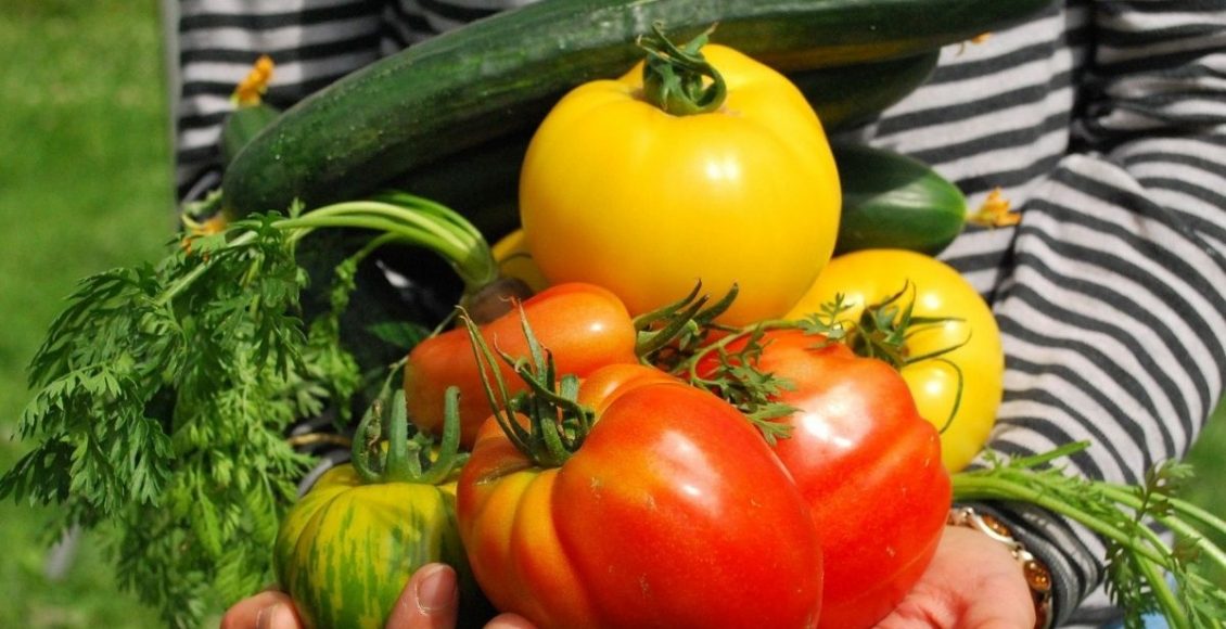 Horta em casa: aprenda a cultivar seus temperos, ervas e legumes - pixabay