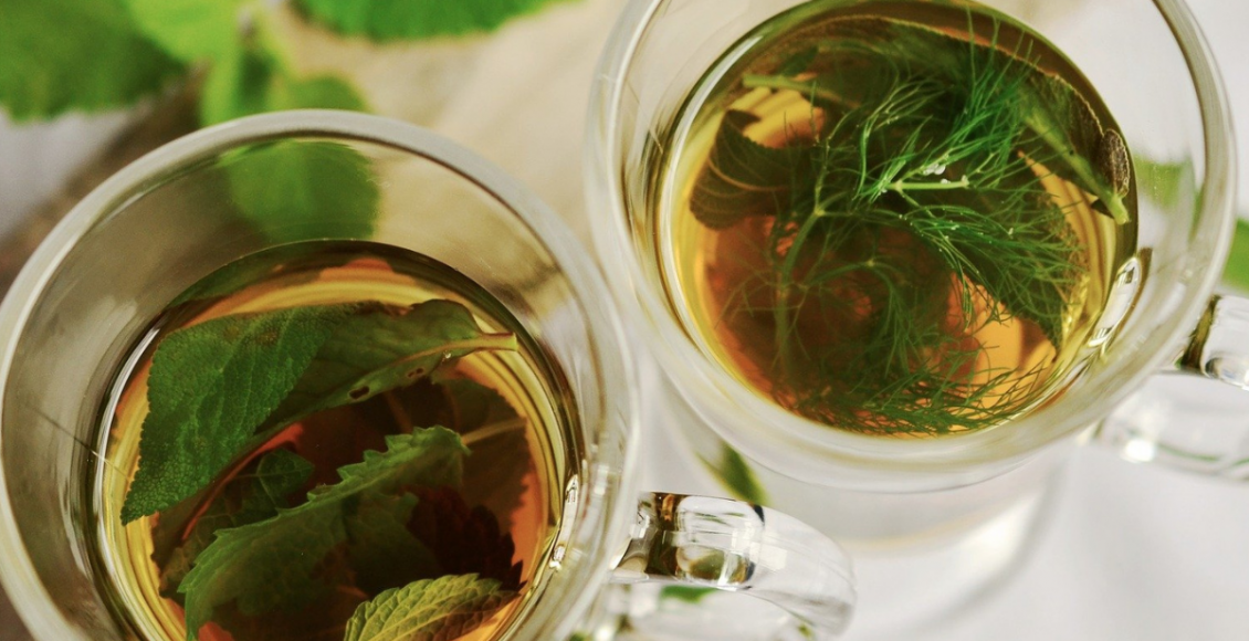 Plantas para a memória: conheça algumas delas e os seus benefícios