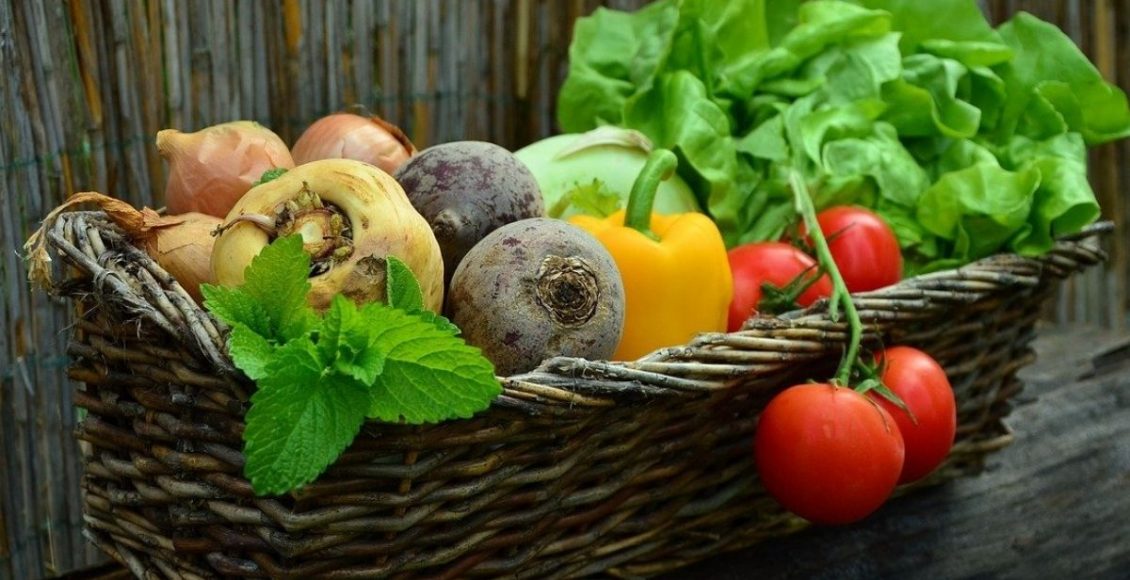 Legumes e verduras: conheça 3 vegetais para você plantar em casa - pixabay