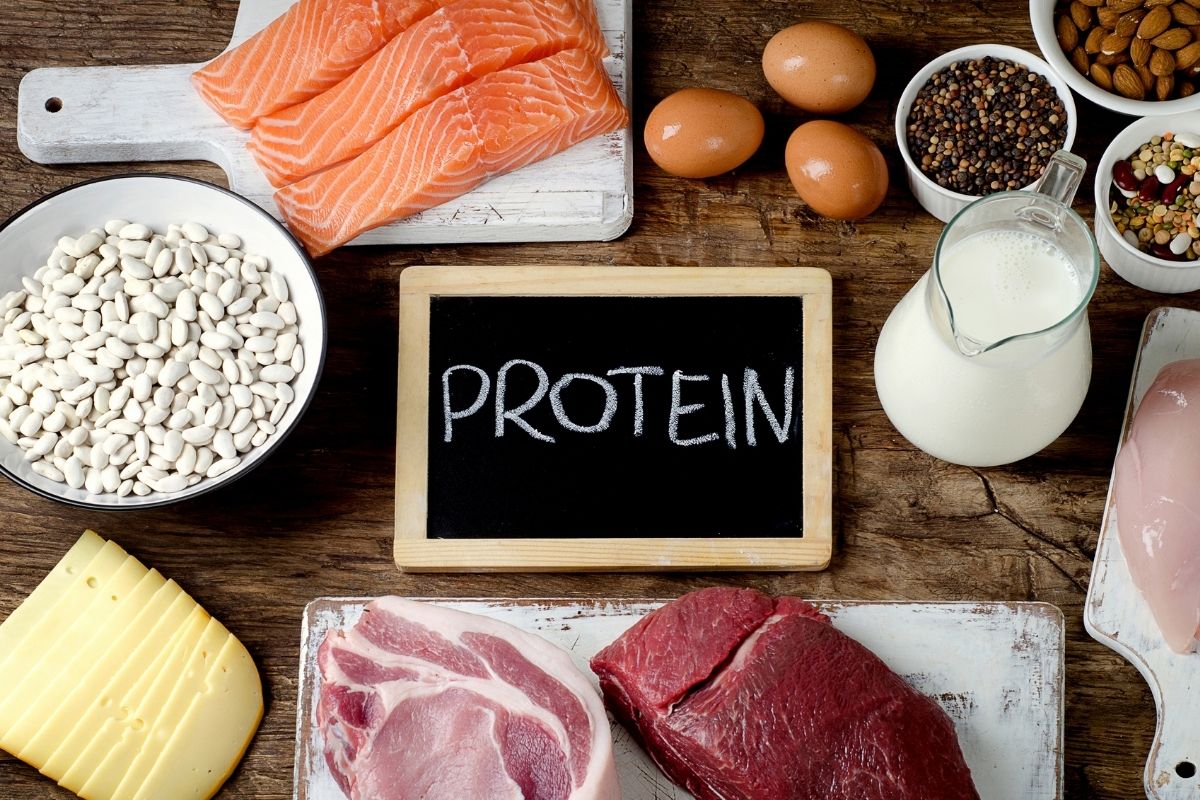 proteína - Reprodução Canva