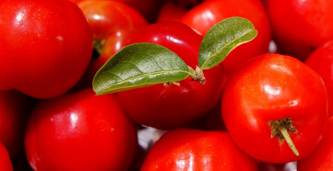 Acerola: Confira Quais São Os Principais Benefícios Dessa Fruta- Pixabay