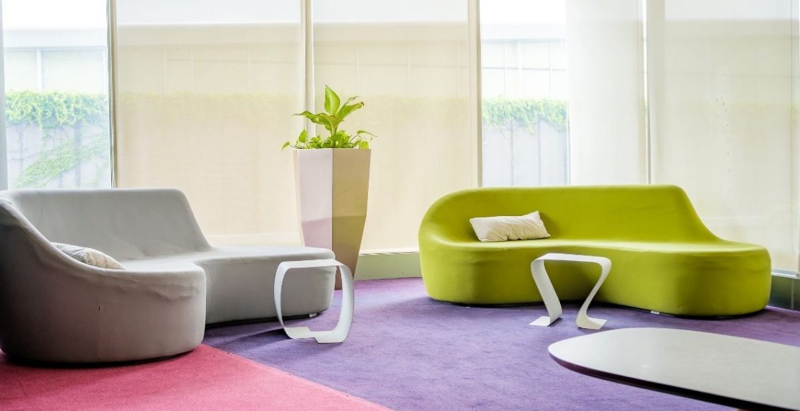 2 plantas lindas para ambiente interno cultive em casa, apartamento ou clínica - Reprodução Canva