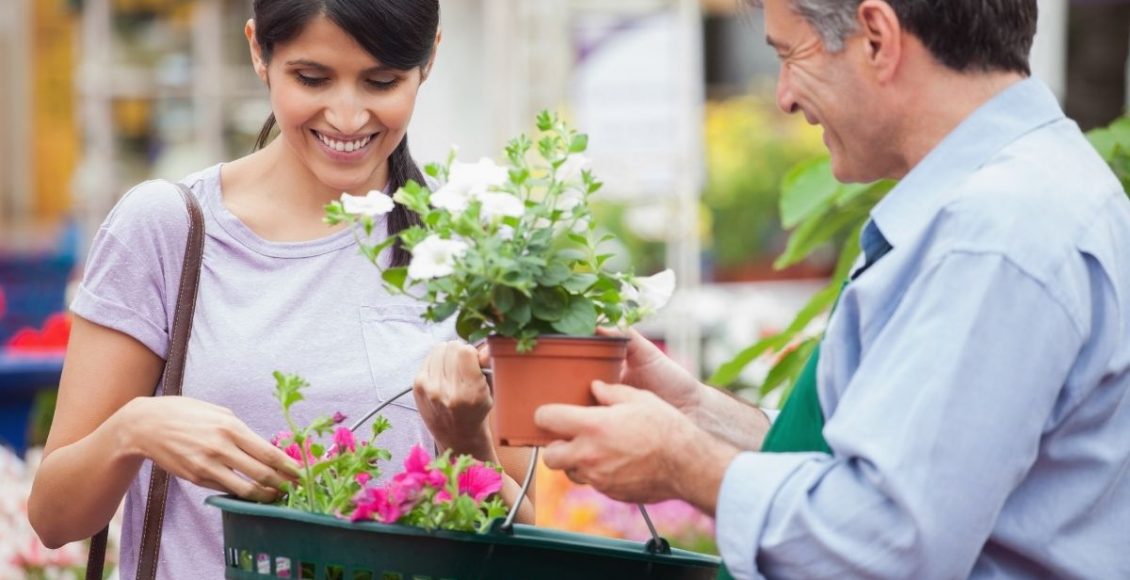 3 dicas para complar plantas sem ser enganado aprenda a escolher - Reprodução Canva