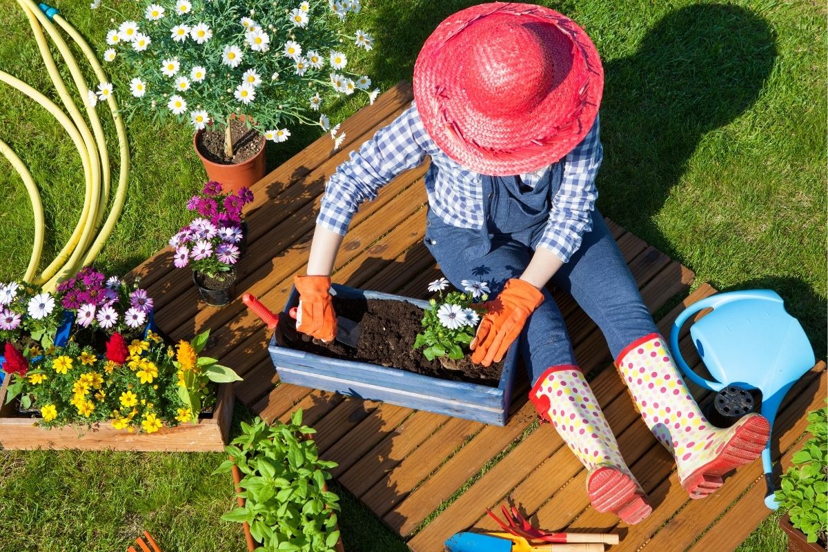3 erros comuns na jardinagem fique atento para não cometê-los - Reprodução Canva