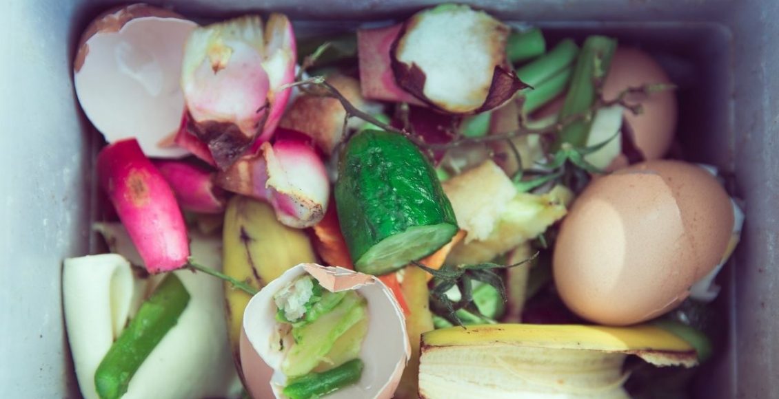 Adubo caseiro - Reprodução Canva