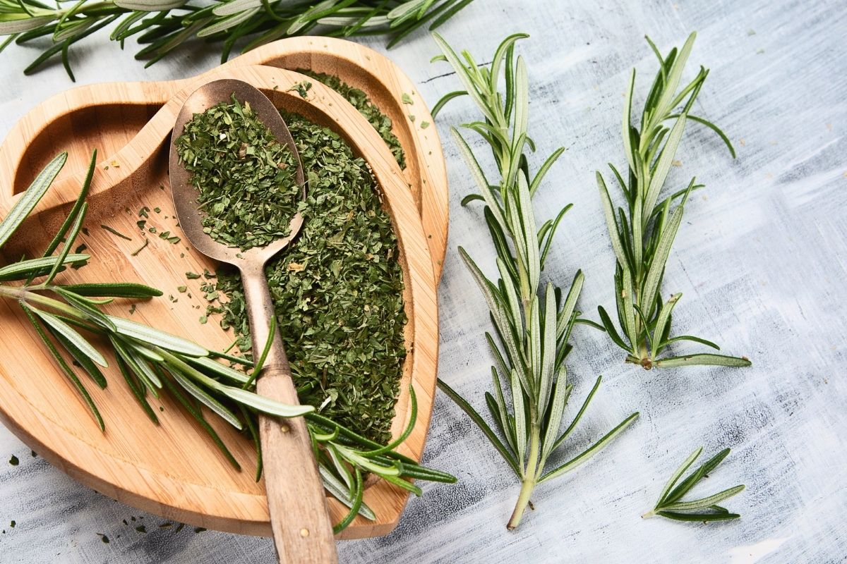Alecrim na comida: descubra os benefícios dessa erva na sua cozinha. Confira agora — Reprodução do Canva.