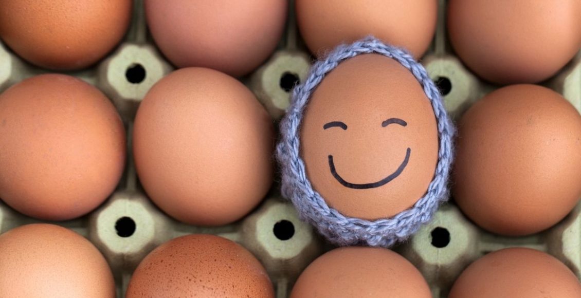 Aprenda de vez, o jeito certo de higienizar e guardar os ovos. Reprodução: canva