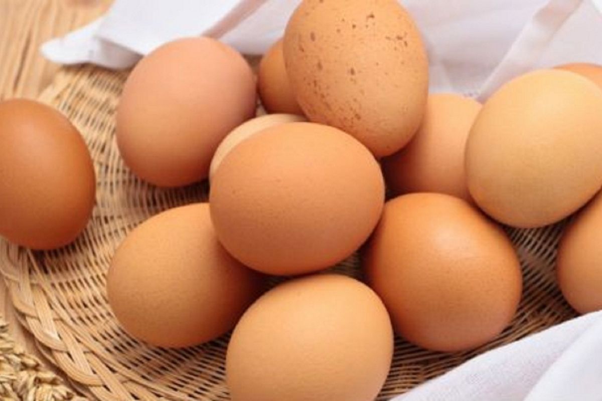Aprenda de vez, o jeito certo de higienizar e guardar os ovos. Reprodução: canva
