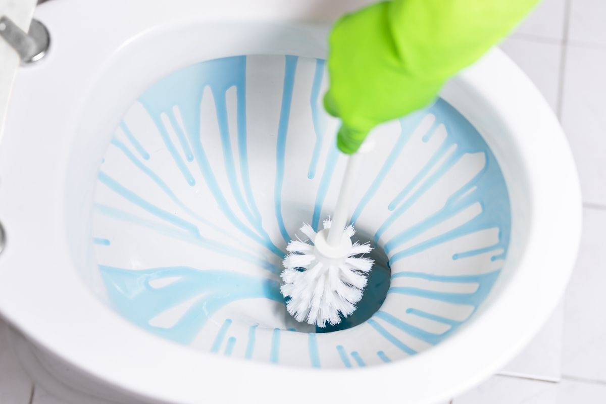 Aprenda aqui, uma misturinha para deixar seu banheiro sempre limpo e cheiroso. Reprodução: canva