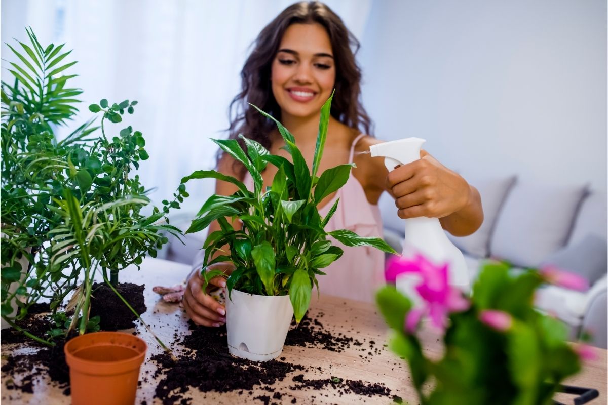 As melhores espécies de plantas para cultivar no seu apartamento - Reprodução Canva (1)