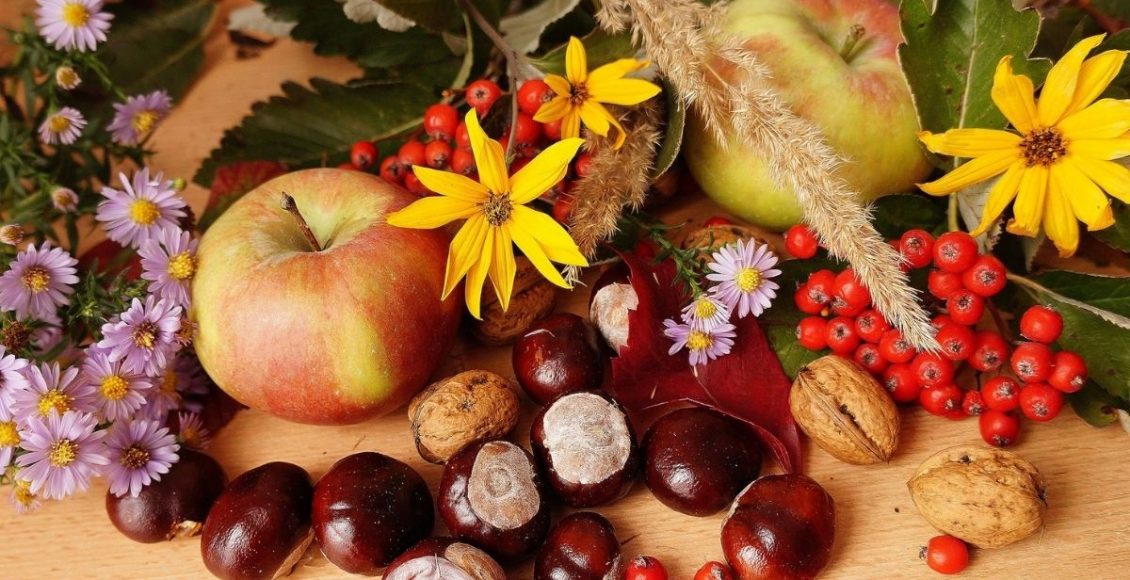 Aumentar a produção de frutos das suas árvores ou plantas frutíferas saiba como - Reprodução Canva