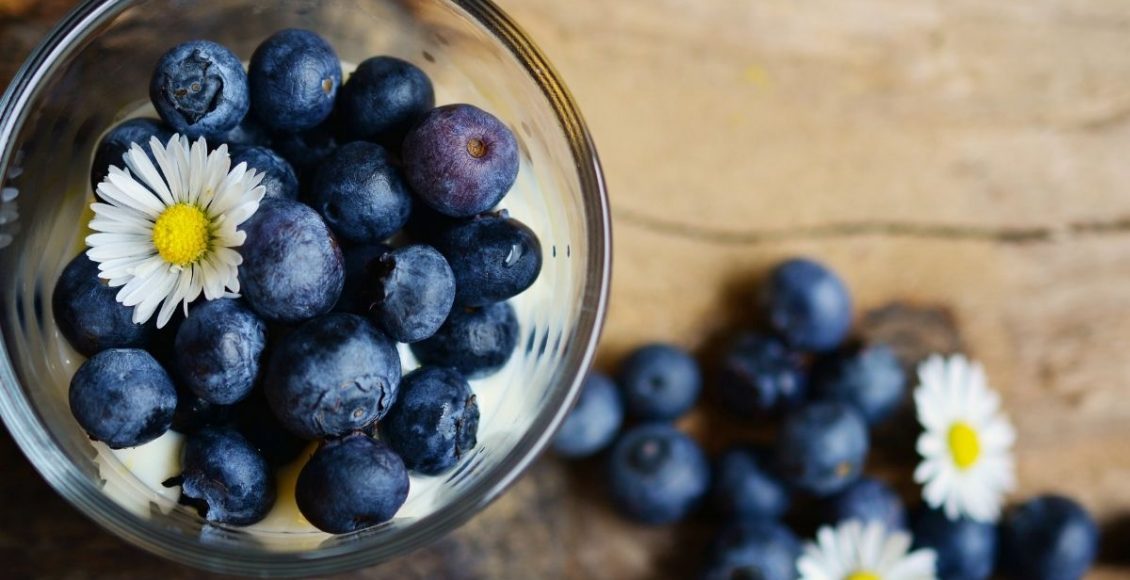 Blueberry - Reprodução Canva