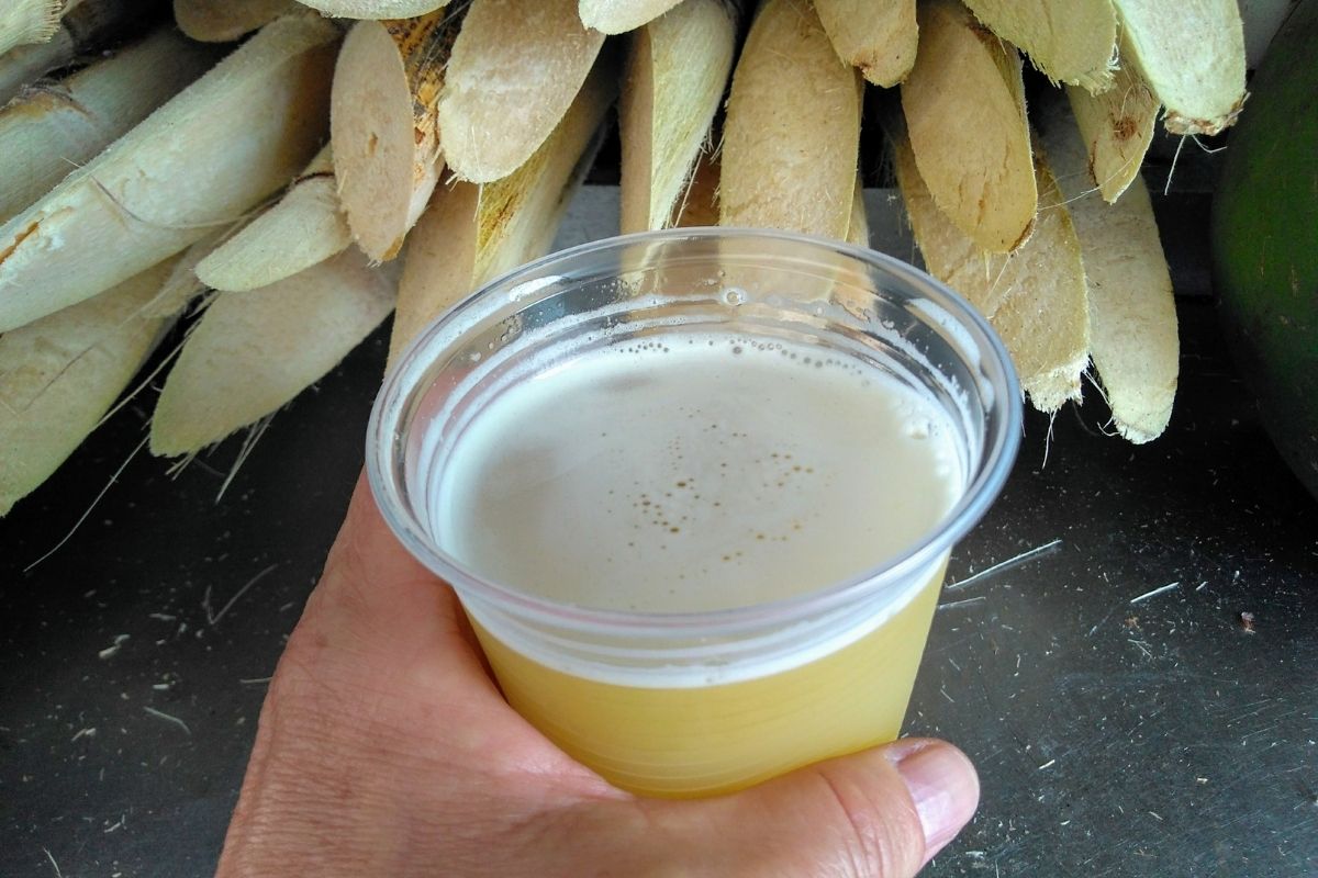 Caldo de cana medicinal uma receita potente, energética e hidratante - Reprodução Canva