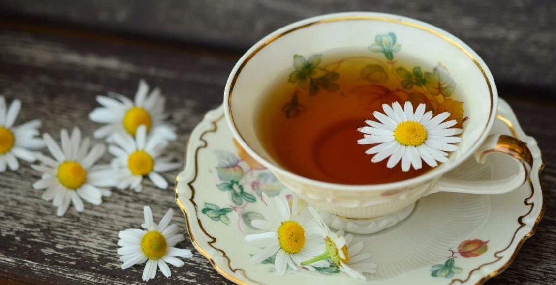 Camomila: aprenda a cultivar essa espécie e saiba seus benefícios para a saúde - reprodução: Canva