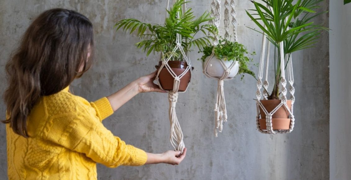 Como fazer em casa jardim suspenso Confira ideias criativas para ambientes pequenos - Reprodução Canva