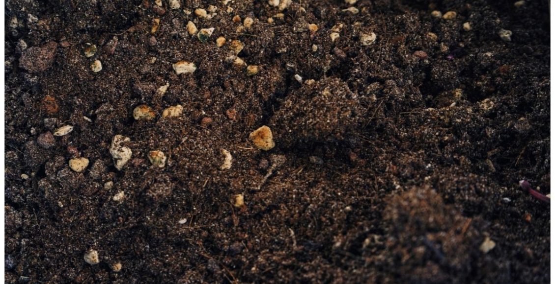 Quantidade ideal de substrato - Reprodução Canva