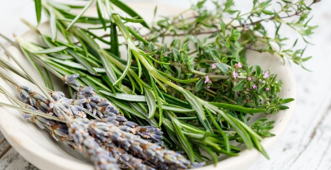 Alecrim: conheça os benefícios dessa erva aromática - reprodução: Canva