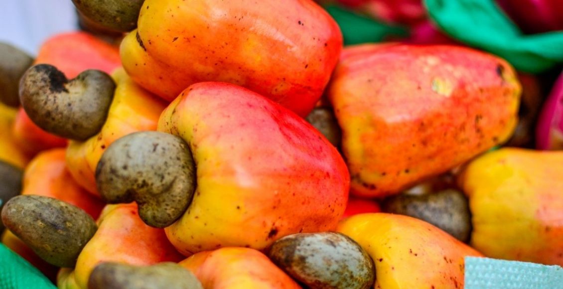 Conheça as principais curiosidades sobre o caju - reprodução: Canva