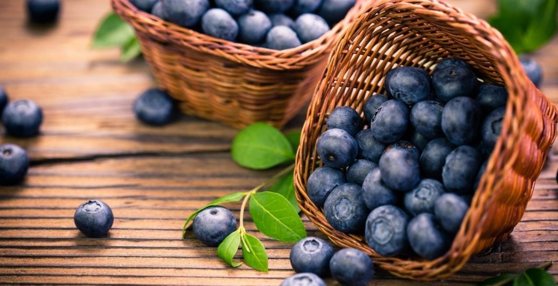 Plantar mirtilo em vaso é fácil? Se você seguir este passo a passo, é (Canva/Reprodução)