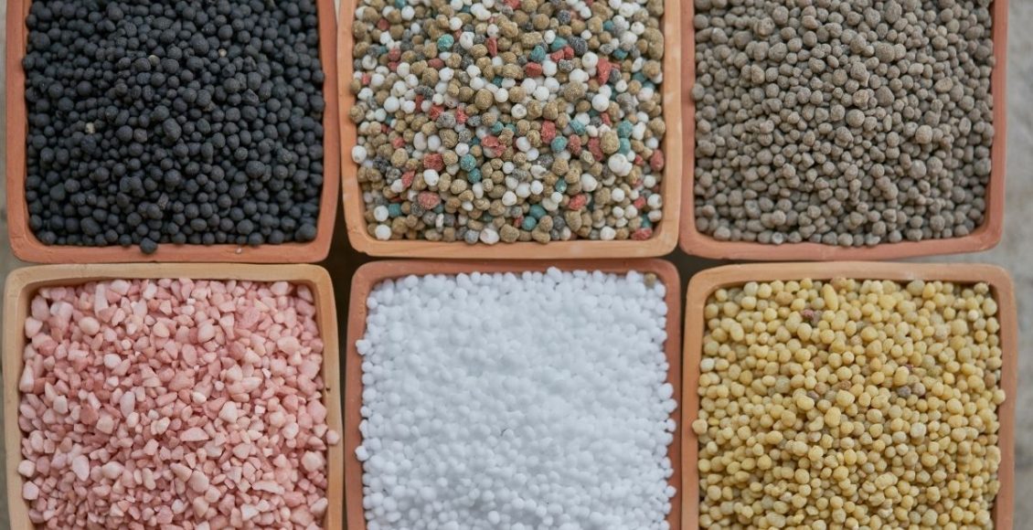 Quais são os melhores tipos de adubos? Aprenda a usar agora - reprodução: Canva