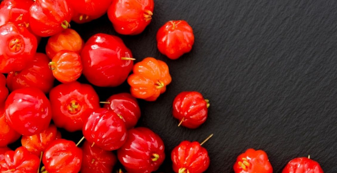 Bonsai de pitanga: descubra o encontro botânico entre Brasil e Japão (Canva/Reprodução)