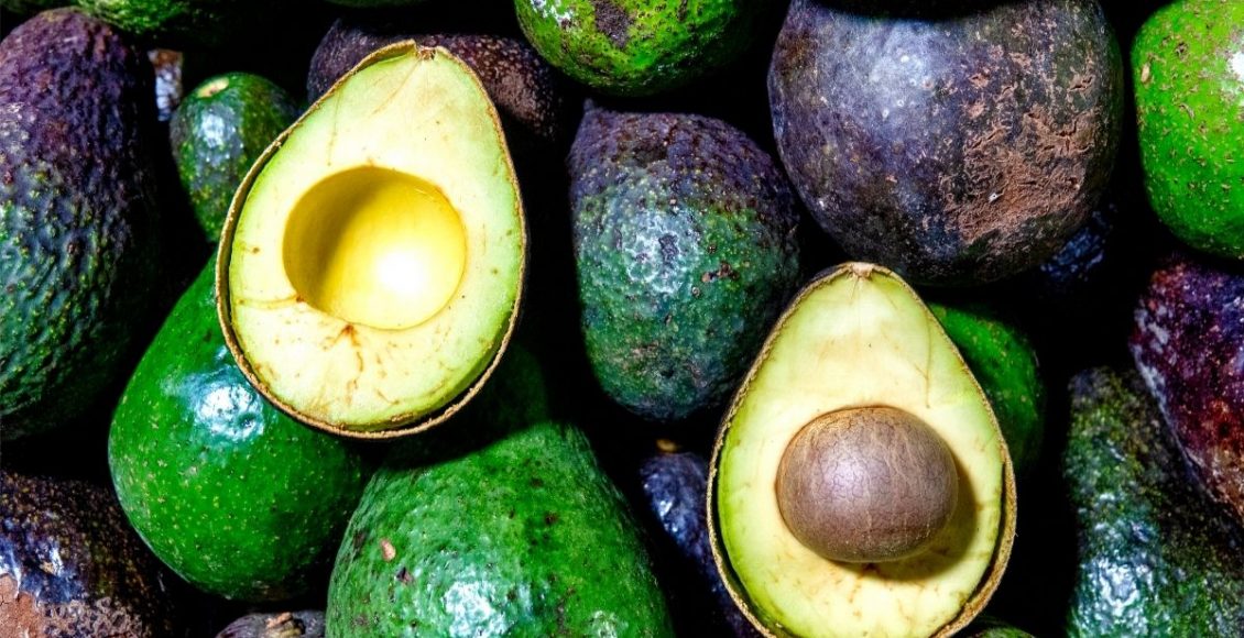 É época de abacate! Conheça os 5 benefícios da fruta para a sua saúde - Reprodução Canva