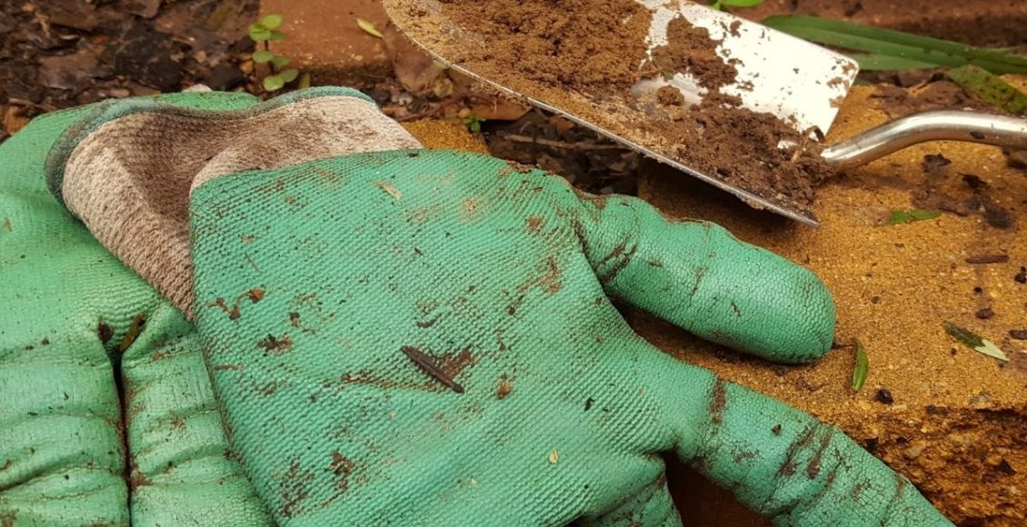 Equipamentos para jardinagem saiba de tudo que você vai precisar para cuidar das suas plantas - reprodução Canva