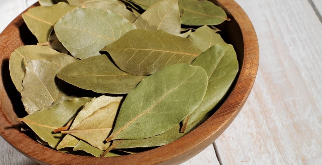 Folha de louro conheças os principais benefícios desse alimento - reprodução Canva