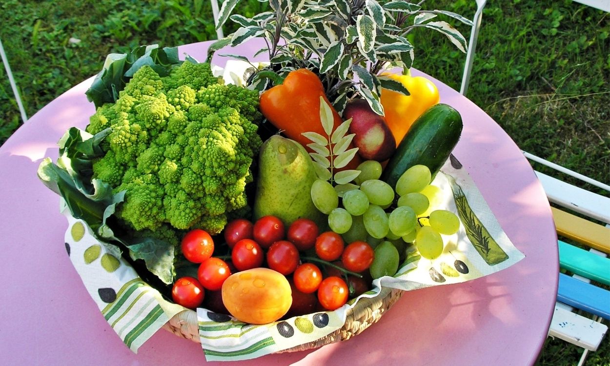 Frutas e verduras aprenda a armazenar e conservar por mais tempo - Reprodução CANVA