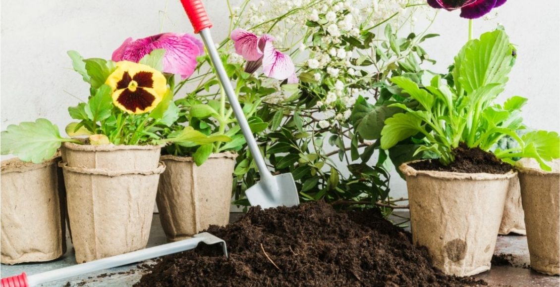 Guia de cultivo para iniciantes! Aprenda a montar um vaso do zero - Reprodução Canva