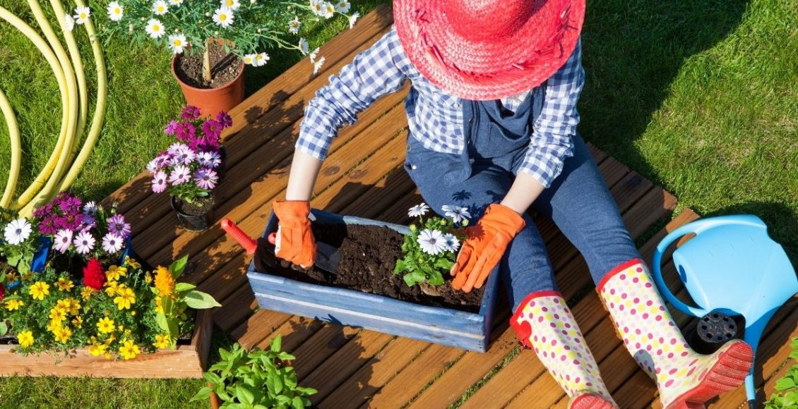 Jardinagem e paisagismo saiba quais são as diferenças agora mesmo - reprodução Canva