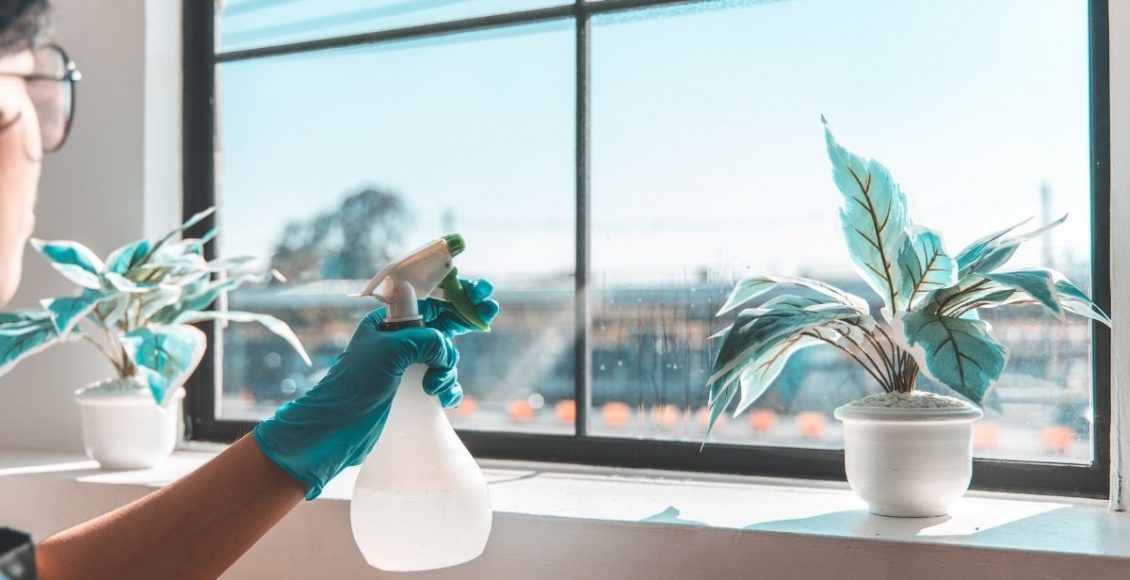 Limpador de vidro caseiro com apenas dois ingredientes: aprenda agora – Reprodução do Canva.