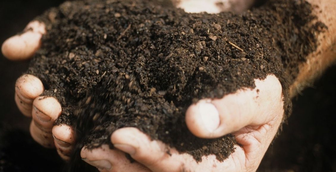 N.P.K na adubação das plantas você sabe o que quer dizer Aprenda agora - By Canva