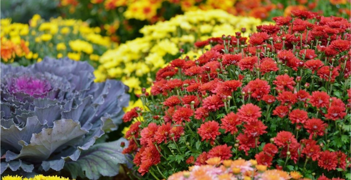 O outono chegou! Entenda o que essa estação causa no seu jardim - Reprodução Canva