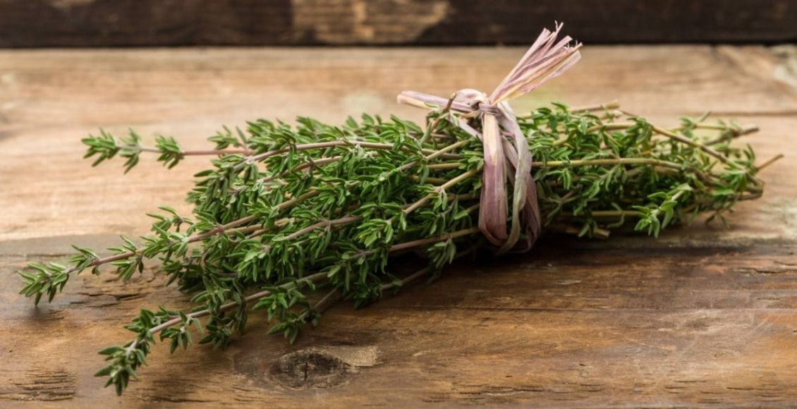 Os segredos do tomilho descubra como extrair suas propriedades medicinais - Reprodução Canva (1)