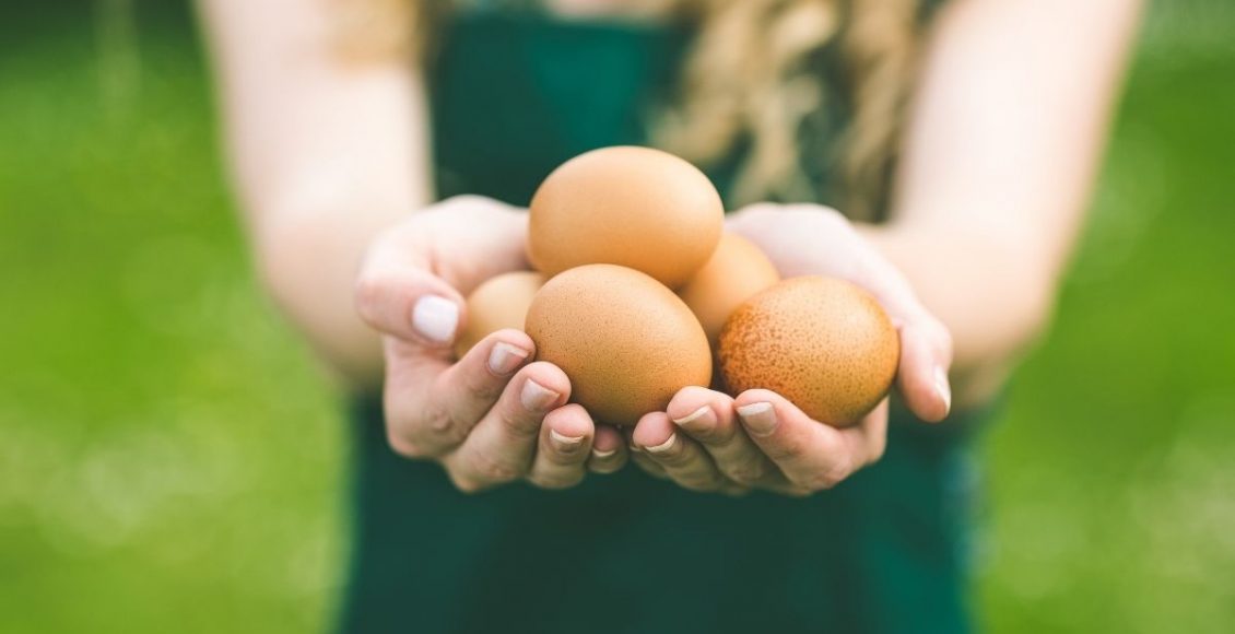 Ovos - Reprodução Canva