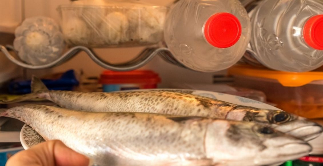 Peixe na geladeira - Reprodução Canva