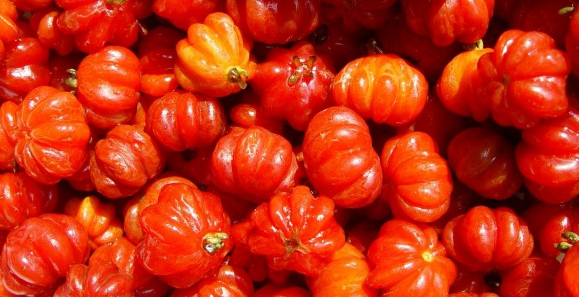 Benefícios da pitanga e dicas para cultivá-la em casa. Descubra agora — Reprodução do Canva.