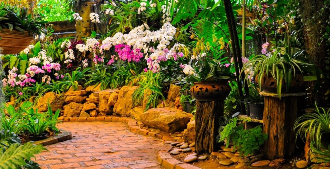 Plantas mais vivas aprenda 3 cuidados importantes para garantir isso - reprodução Canva