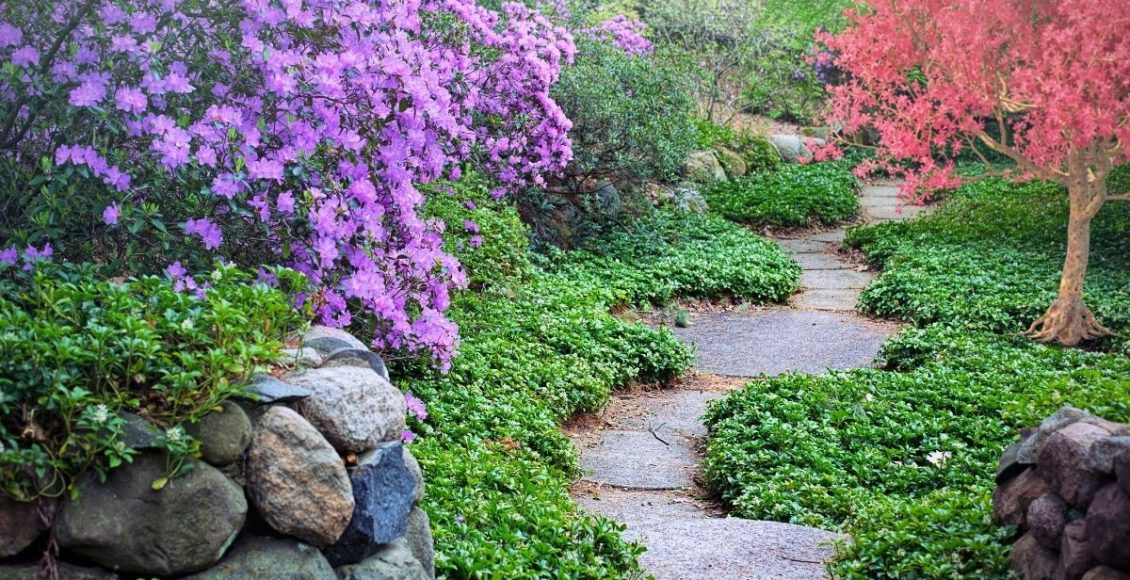 Dicas para ter um jardim sempre bem cuidado - reprodução Canva