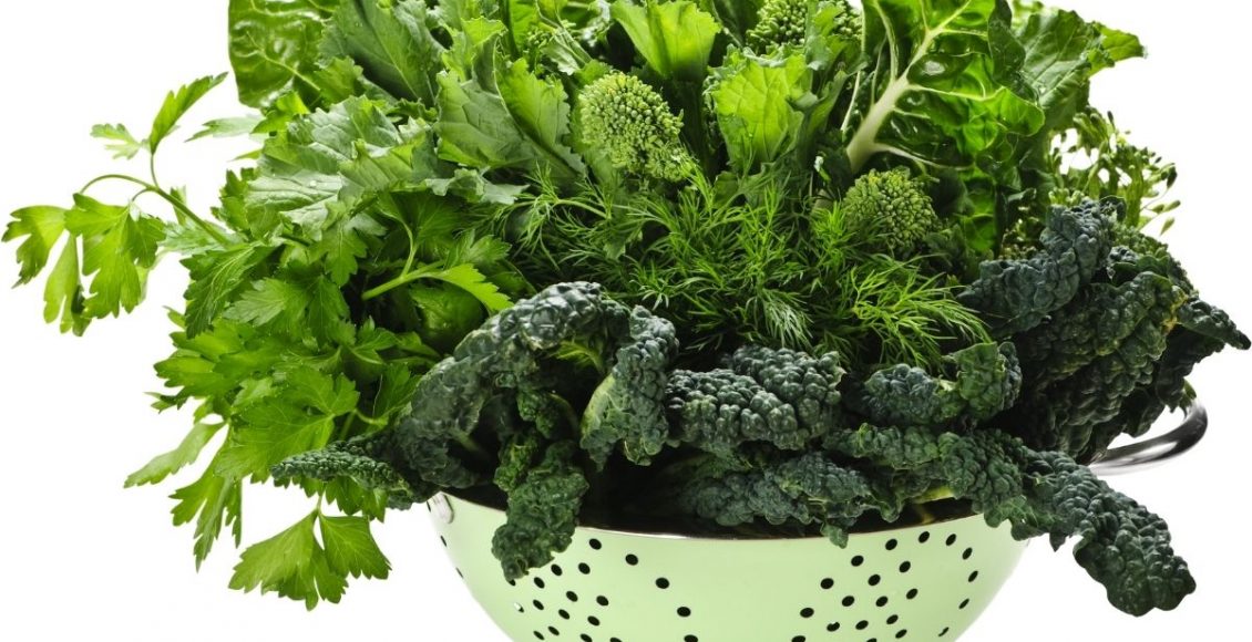 Plantas que aumentam sua produção de óxido nítrico a molécula da saúde - Reprodução Canva