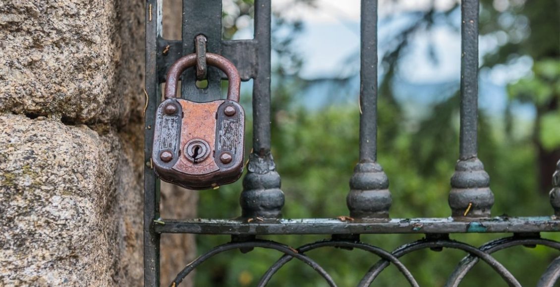 Vai viajar e não sabe como deixar as plantas na sua ausência Confira - reprodução Canva