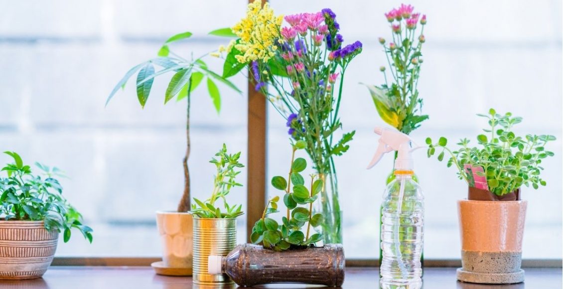 Vaso de planta lindo e econômico: simples e rápido. Aprenda agora — Reprodução do Canva.