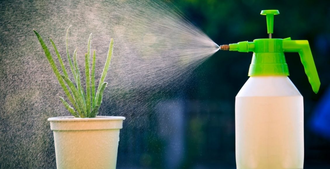 Vinagre nas plantas Entenda o que esse composto realmente faz - Reprodução Canva (1)