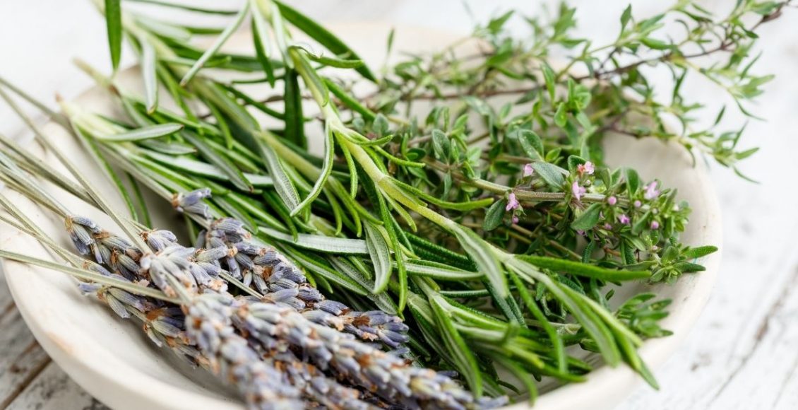 alecrim - Reprodução Canva