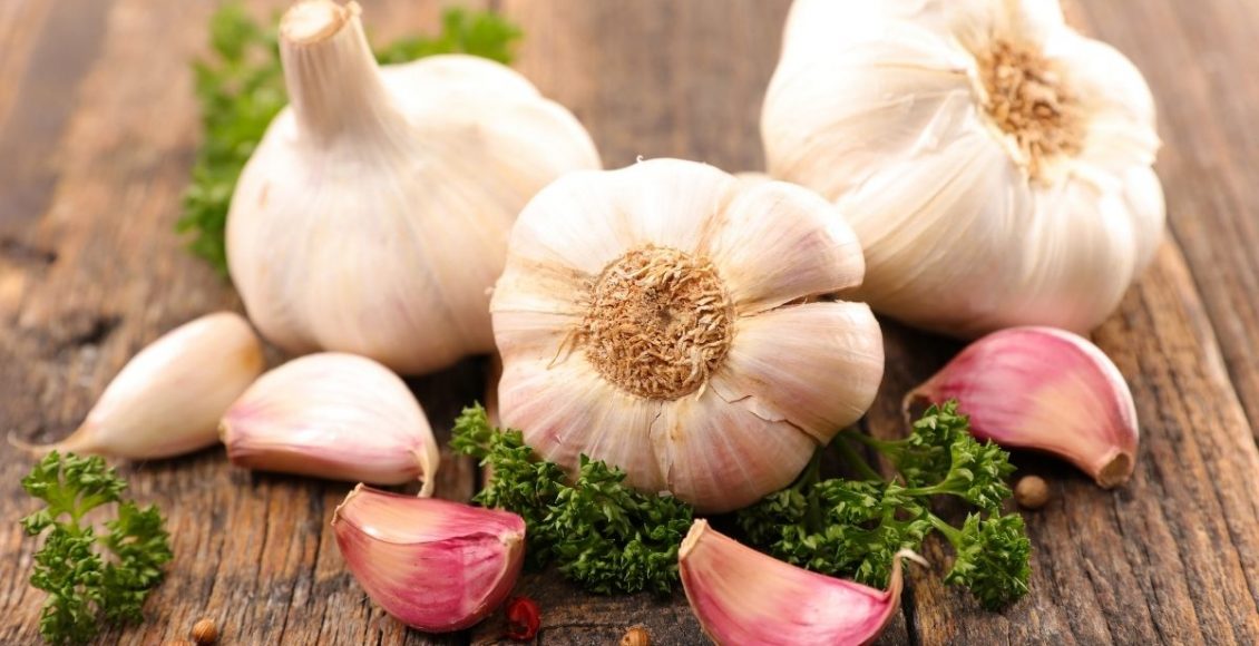 alho - Reprodução Canva