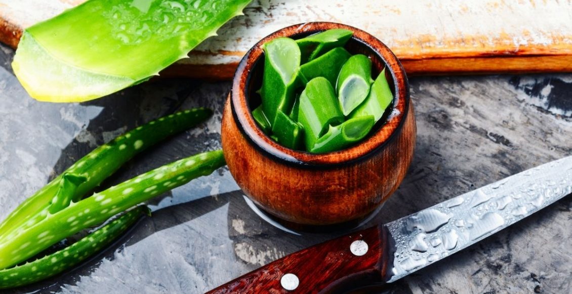 babosa na água- Reprodução Canva