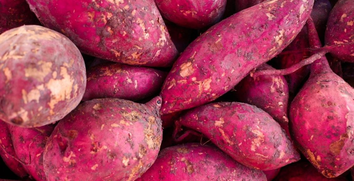 batata doce - Reprodução Canva